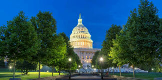 The Capitol building in Washington D.C. illuminated at night surrounded by trees
